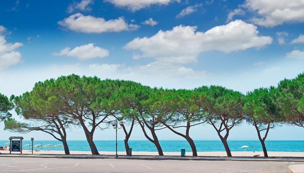 Il Giardino Di Chiara Bed & Breakfast Oristano Exterior photo