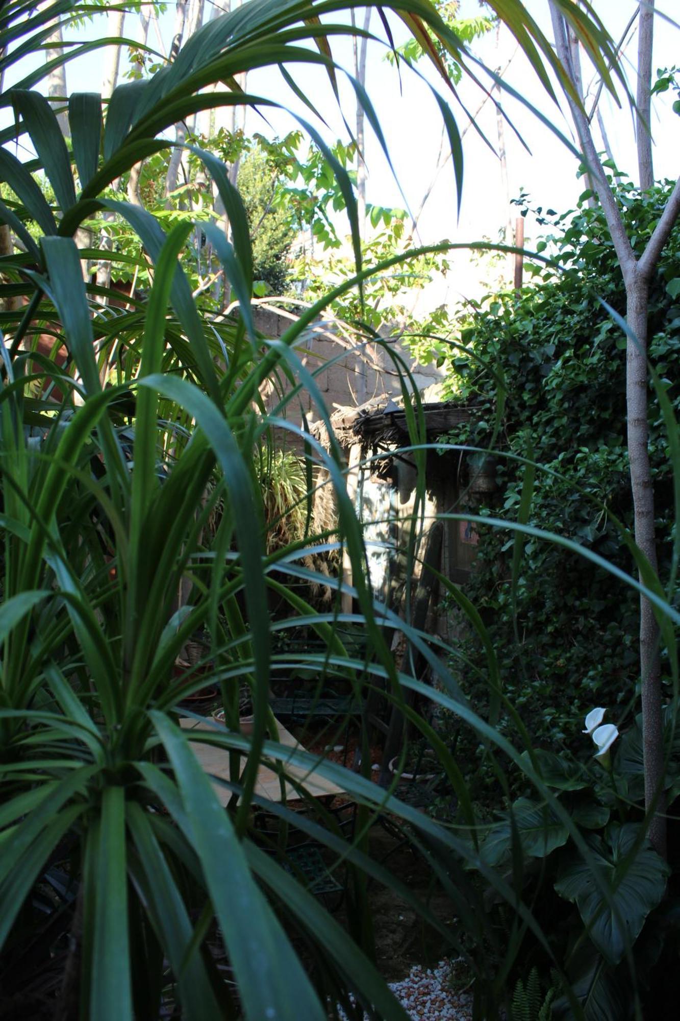 Il Giardino Di Chiara Bed & Breakfast Oristano Exterior photo