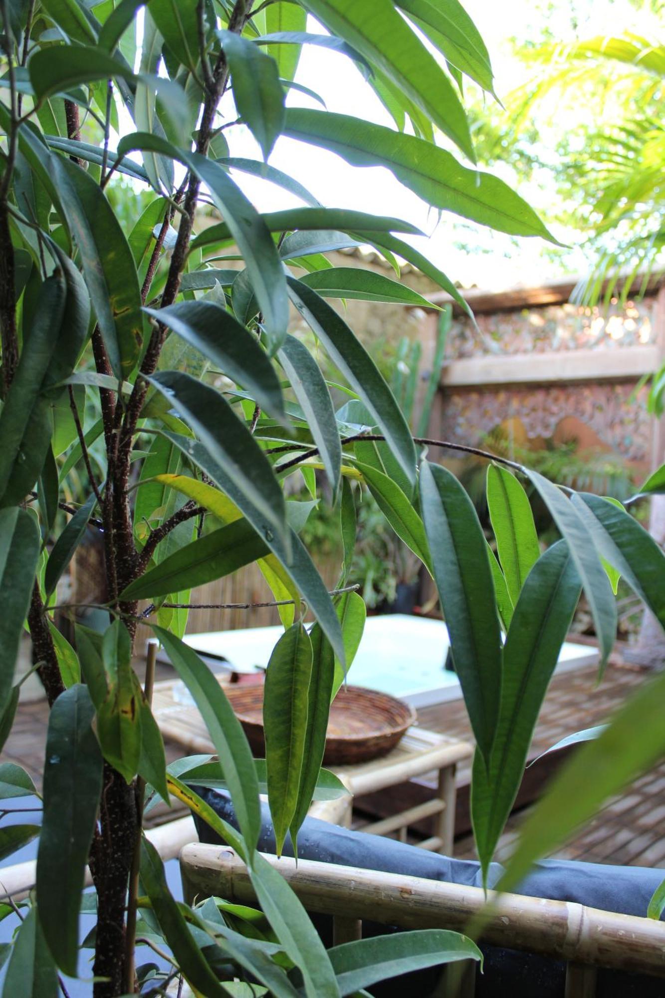 Il Giardino Di Chiara Bed & Breakfast Oristano Exterior photo